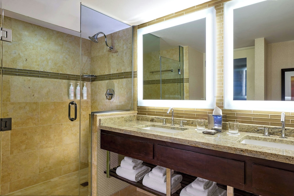 Marriott Chicago O'Hare - photo 46