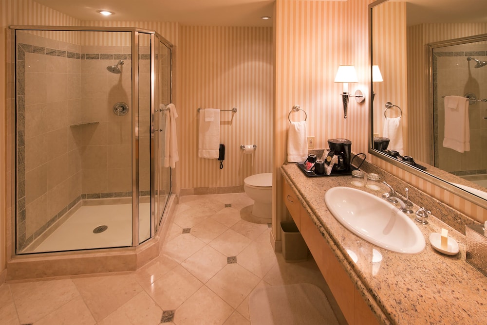 Bally s Shreveport Casino and Hotel - photo 17