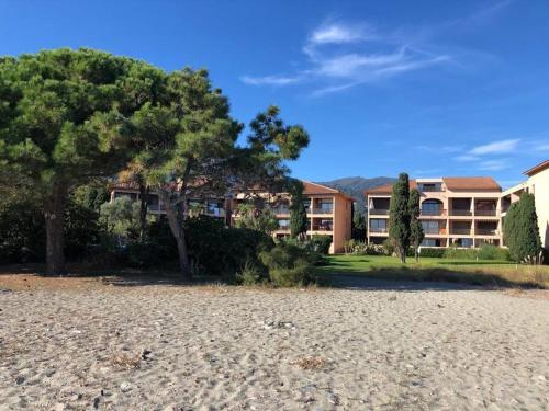 2025 Grand Studio Avec Piscine Et Plage A 50 M — San Nicolao