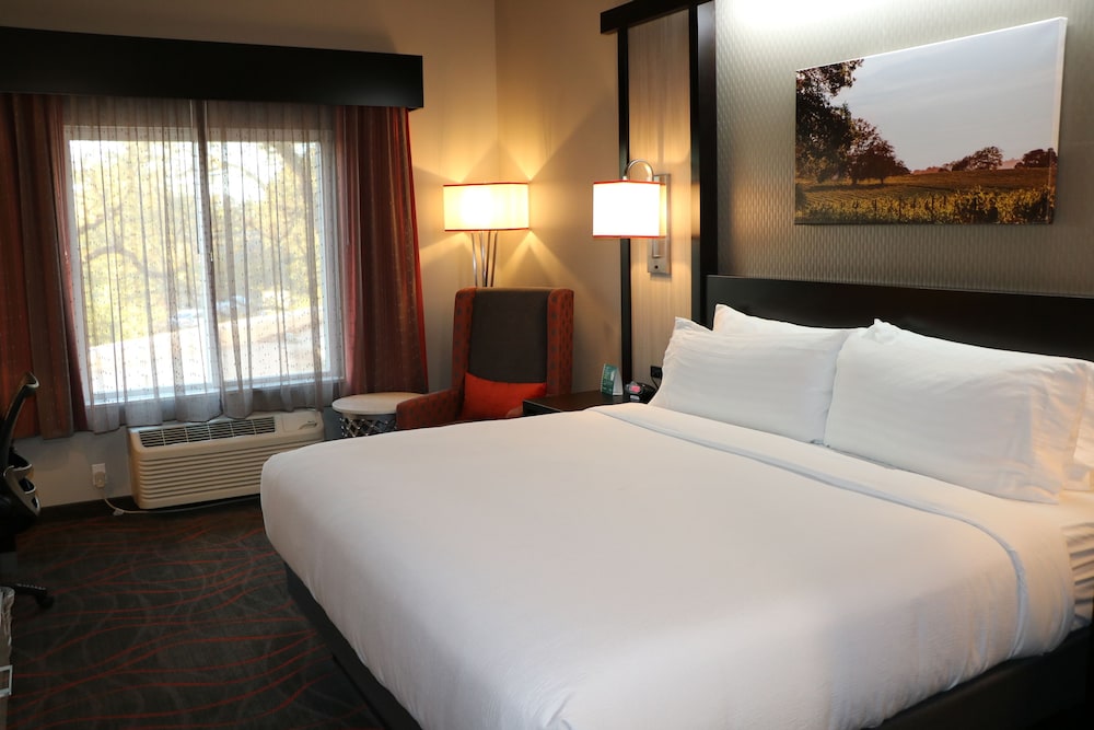 Holiday Inn Windsor Wine Country by IHG - photo 6