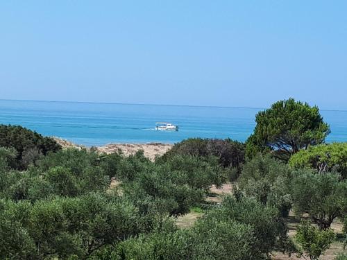 Ktima Bilionis — Zacharo — photo 2