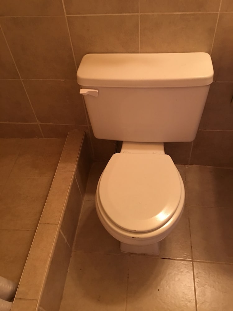 Reddy Inn and Suites - photo 31
