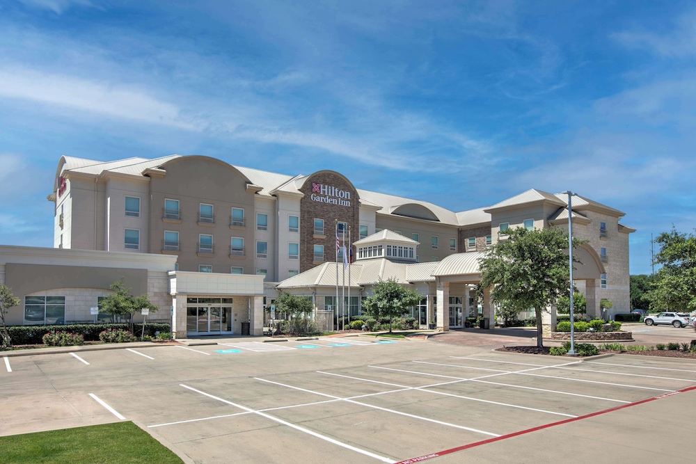 Hilton Garden Inn Dallas Arlington - photo 49