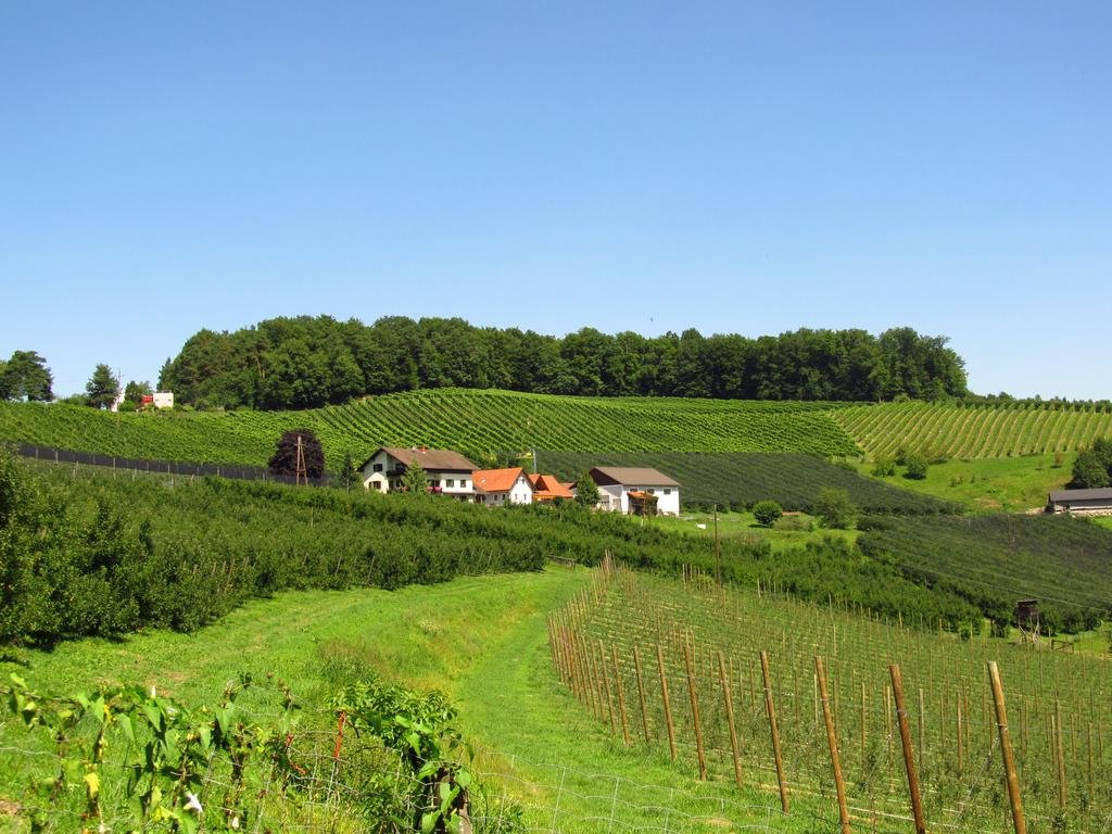 Weingut Dietl — 4-Star Luxury Hotel in Riegersburg, Austria