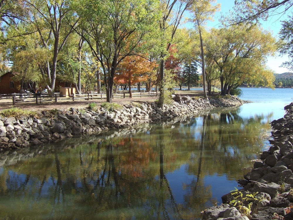 Lazy Oaks Resort - photo 16