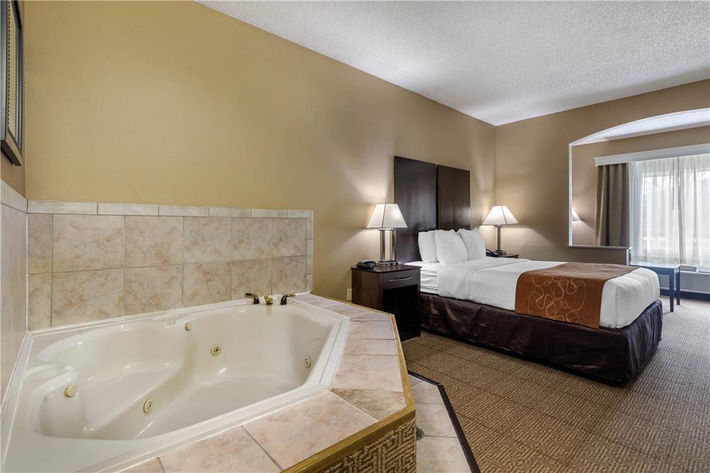 Comfort Suites The Colony Plano West - photo 24