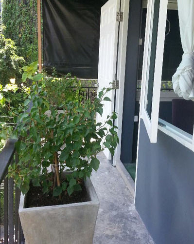Le Lek Boutique Guest House