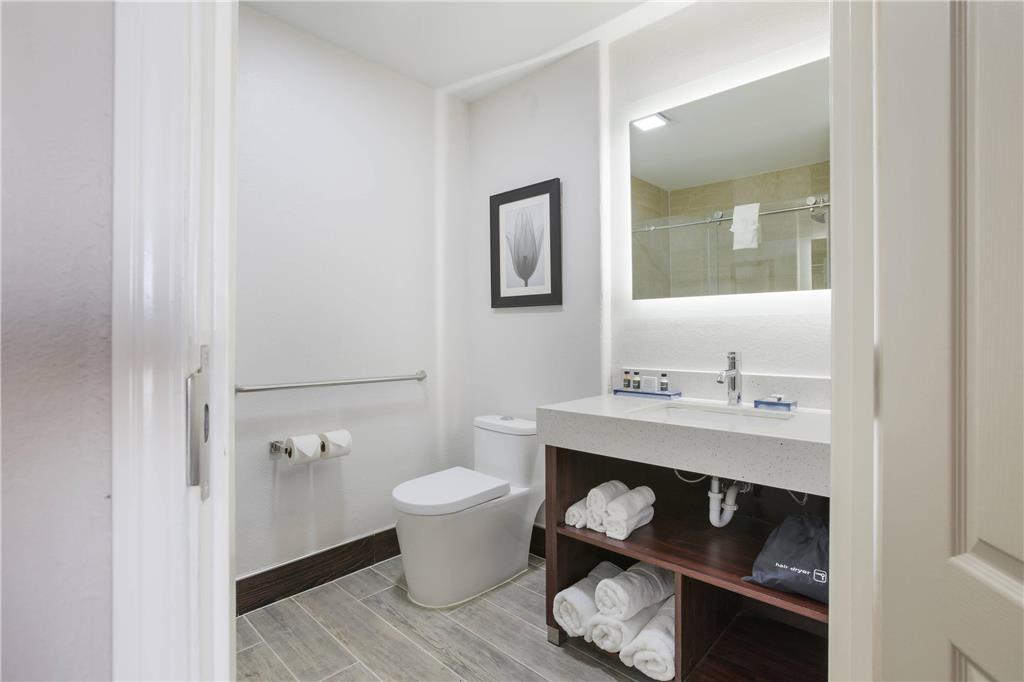The Leo Collection Detroit an Ascend Collection Hotel - photo 38