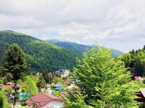 Casa Miu — 4-Star Luxury Hotel in Sinaia, Romania