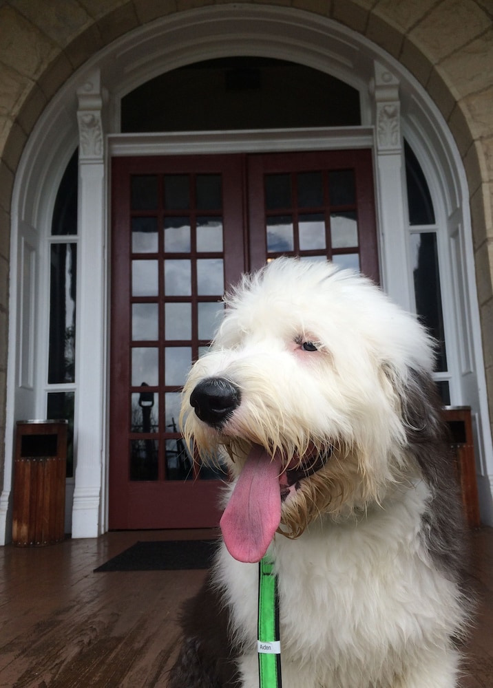 The Crescent Hotel and Spa - photo 58