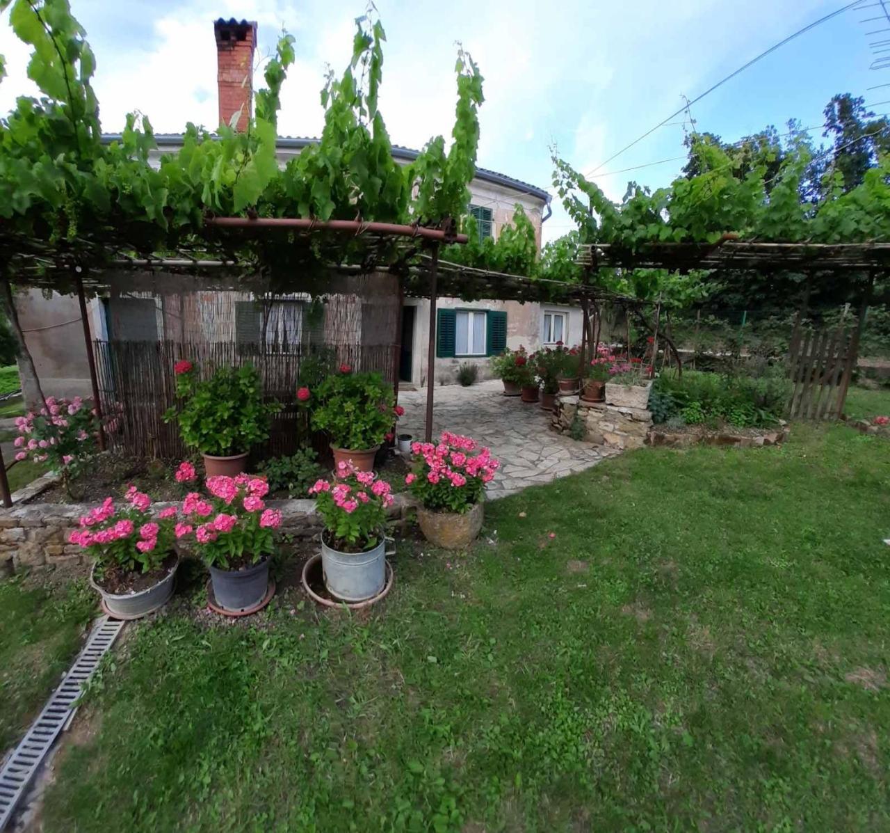 Apartma Fiorina in Piran, Slovenia