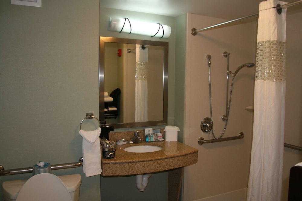 Hampton Inn & Suites Detroit Canton - photo 61