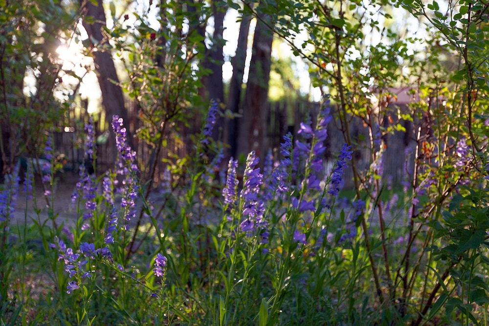 Dreamcatcher Bed and Breakfast - photo 100