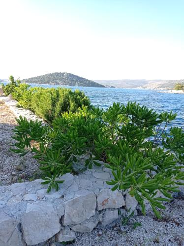 Villa Sunshine — 4-Star Luxury Hotel in None, Croatia