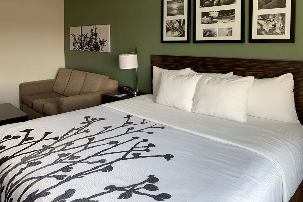 Sleep Inn & Suites & Conference Center - photo 16