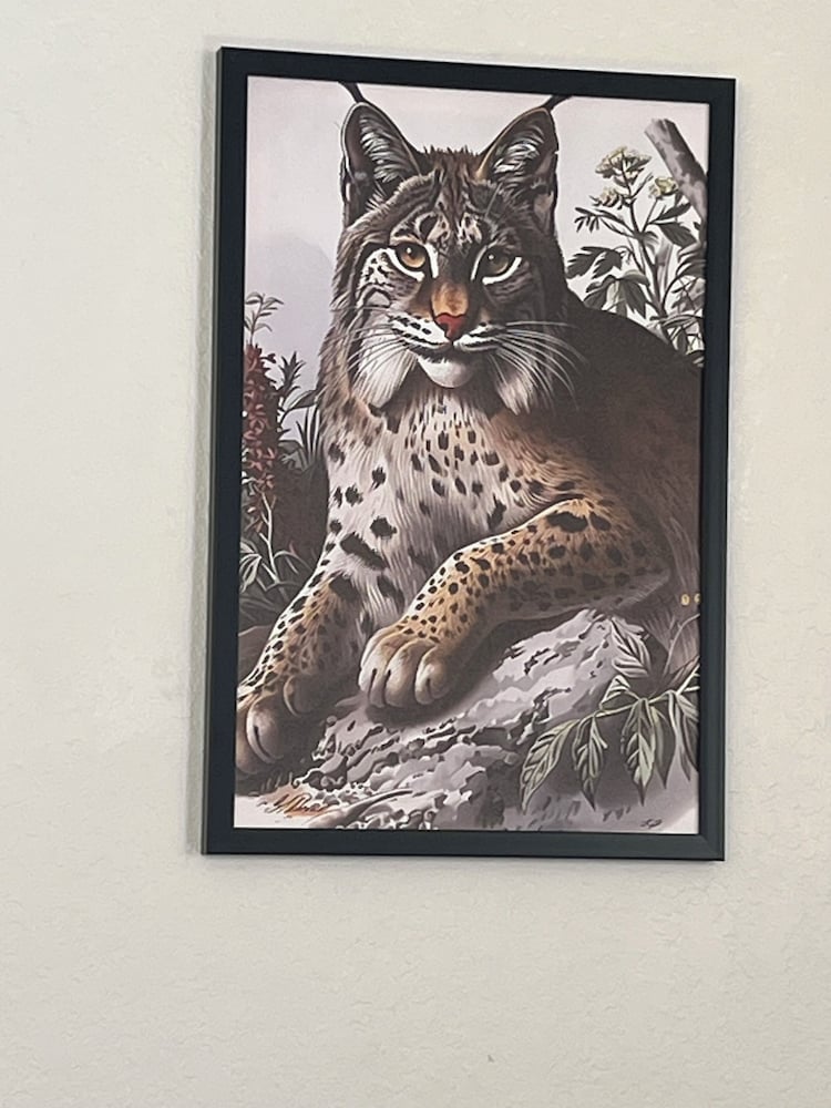 The Bobcat in San Marcos, United States