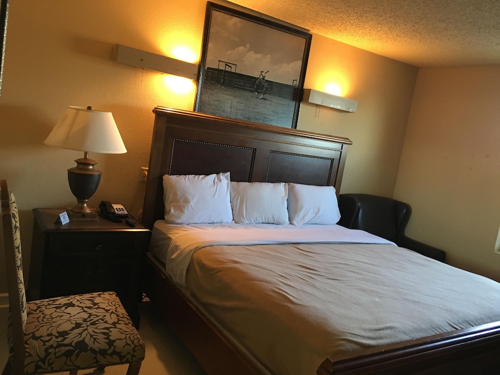 Reddy Inn and Suites - photo 25