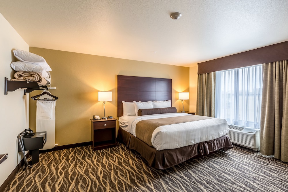 Cobblestone Hotel & Suites Stevens Point - photo 21