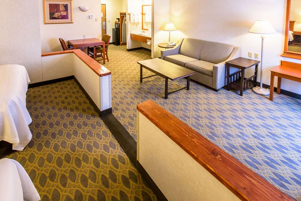 Quality Inn & Suites University - photo 35