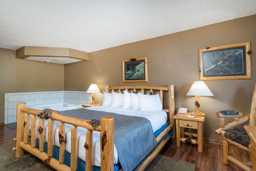 Baymont by Wyndham Owatonna - photo 61