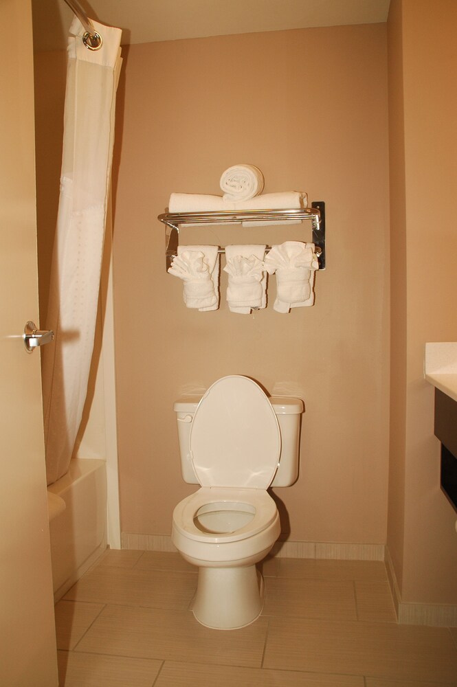 Holiday Inn Express Hotel & Suites Birmingham Irondale by IHG - photo 30