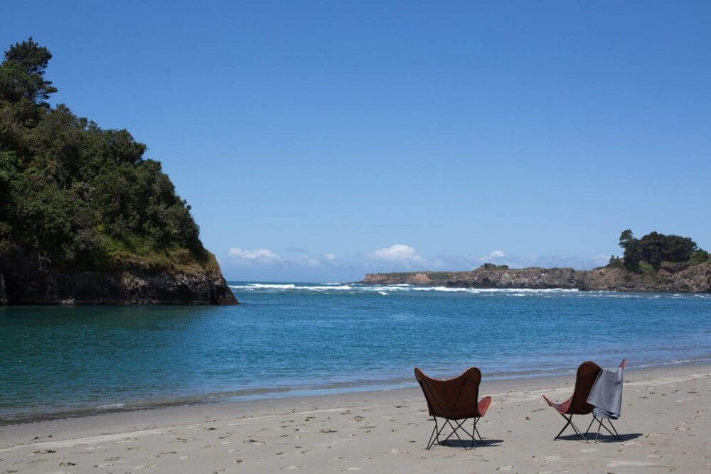 Mendocino Grove - photo 17