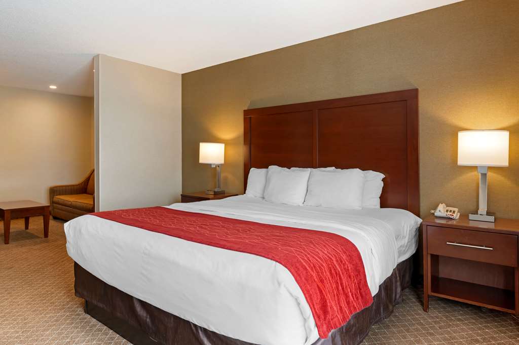Comfort Inn Pickerington Columbus East - photo 26