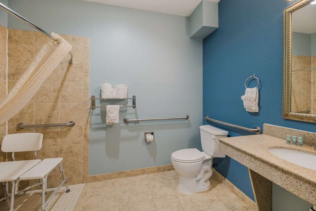 Best Western South Plains Inn & Suites - photo 29
