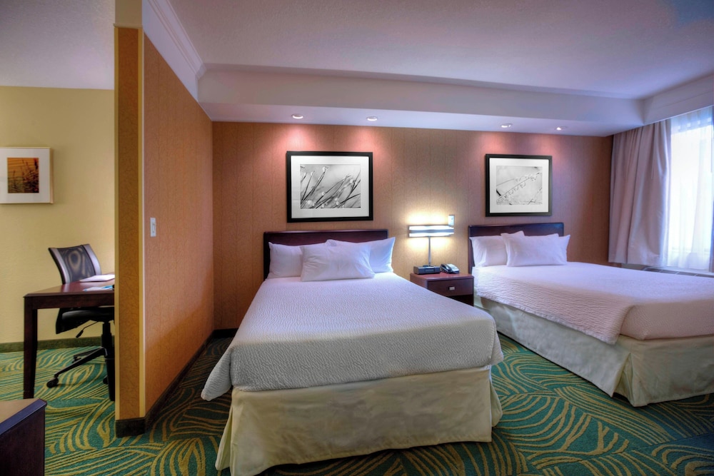 Springhill Suites by Marriott Tampa Brandon - photo 5