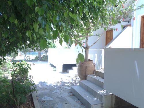 Lithi in Palaiochora, Greece