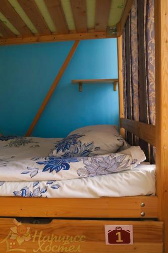 Narcissus Hotel & Hostel — hotel in Novokuznetsk