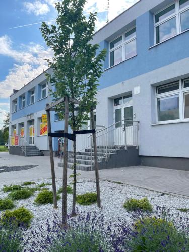 Herohostel 15016462 — Sieradz