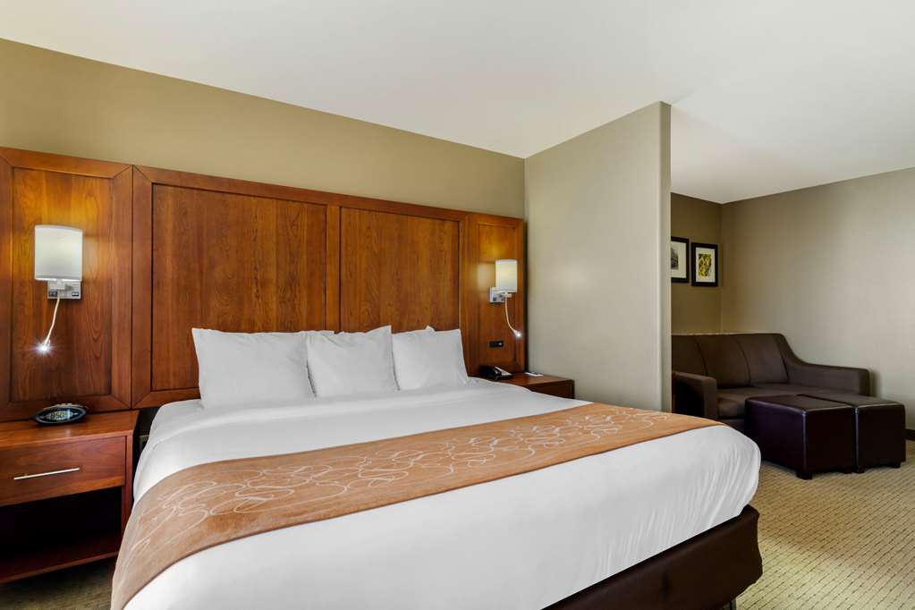 Comfort Suites Pflugerville Austin North - photo 13