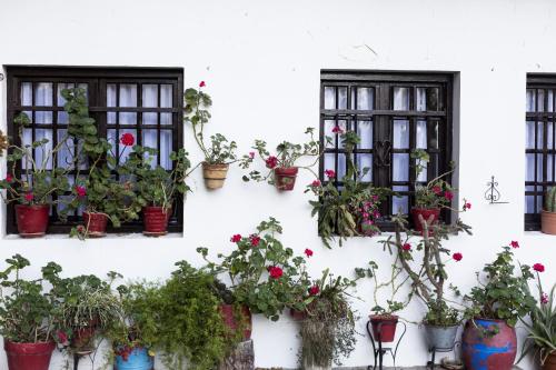 Olerki by Smiling Rentals — 4-Star Luxury Hotel in Fuenterrabia, Spain