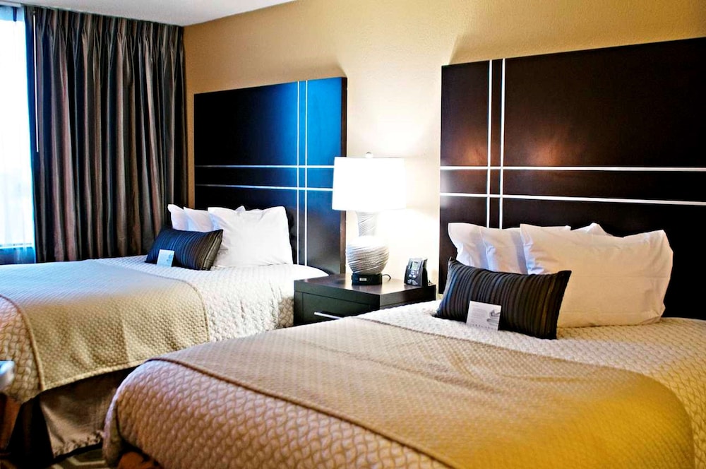 Embassy Suites by Hilton St. Louis Airport - photo 16