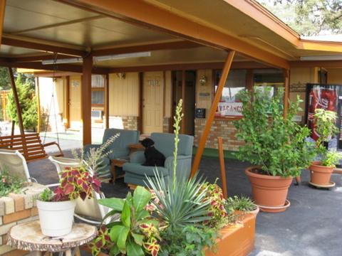 Walnut Forest Motel - last minute hotel in Austin