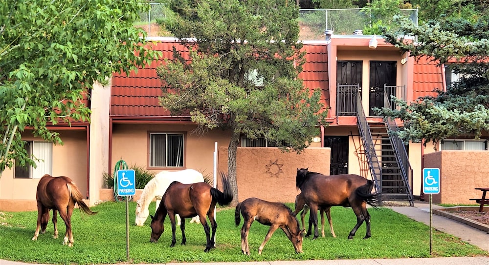 Pinecliff Village Resort - photo 9