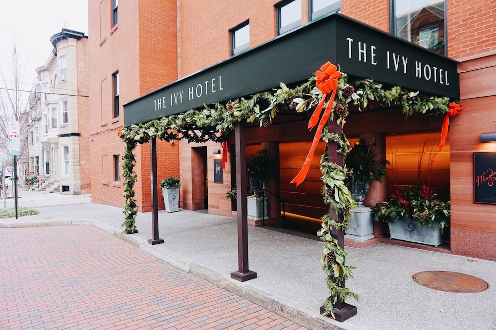 The Ivy Hotel - photo 116