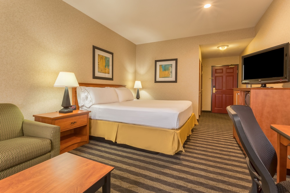 Holiday Inn Express Hotel & Suites Manteca by IHG - photo 7