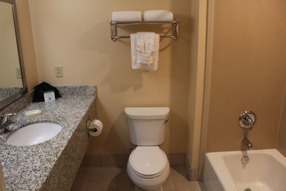 Wyndham Garden Lancaster CA - photo 12