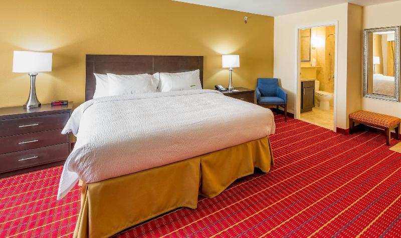 TownePlace Suites El Paso Airport - photo 52