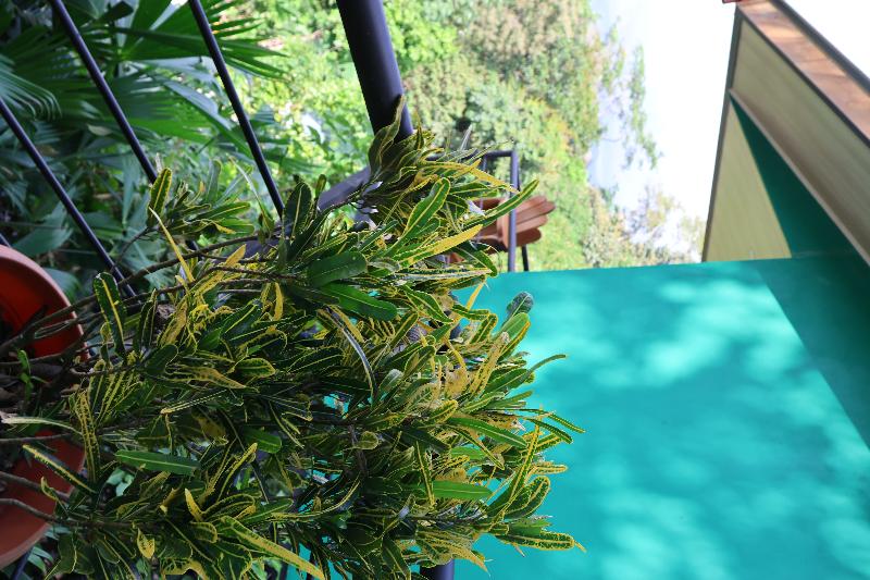 Villas In Sueño — 4-Star Luxury Hotel in Quepos, Costa Rica