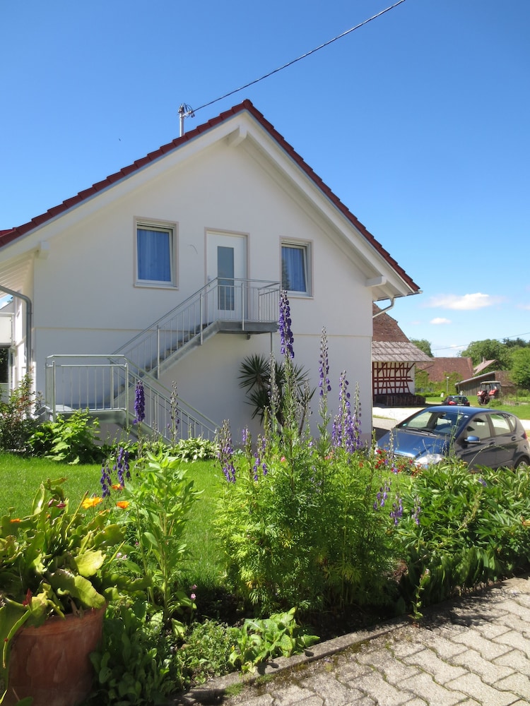 Buche — Uberlingen — photo 2