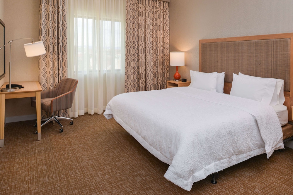 Hampton Inn & Suites Denver Speer Boulevard - photo 15