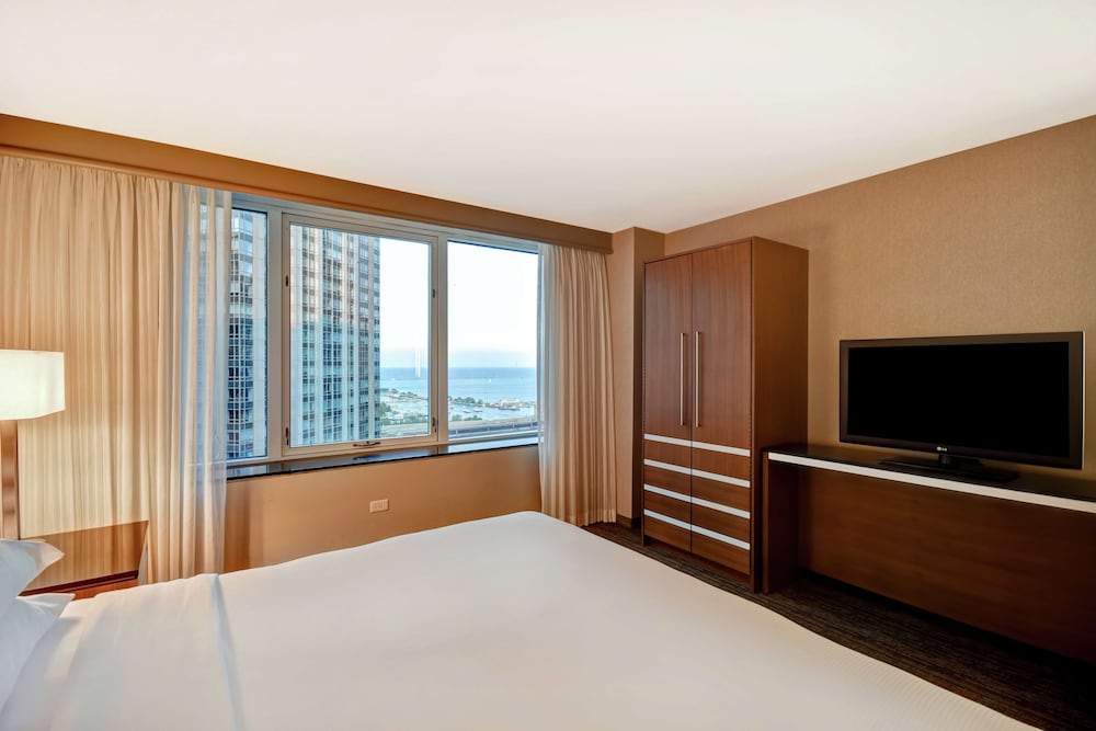 Embassy Suites by Hilton Chicago Downtown Magnificent Mile - photo 21