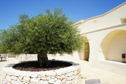 Masseria Acquasale Relais & Restaurant — hotel in San Giorgio Ionico