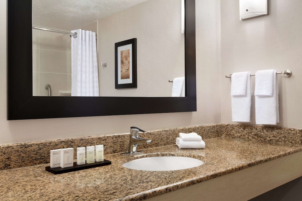 Embassy Suites by Hilton Convention Center Las Vegas - photo 40