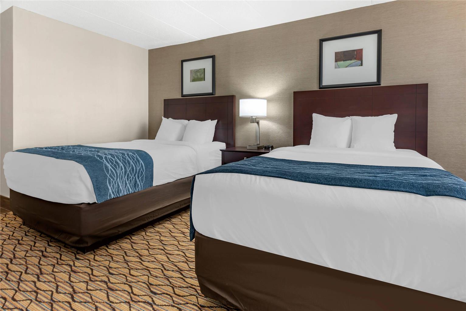 Comfort Inn & Suites Glen Mills West Chester - photo 8