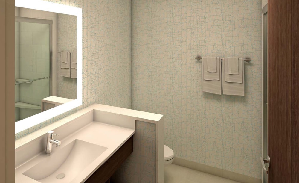 Holiday Inn Express & Suites Auburn Downtown by IHG - photo 16