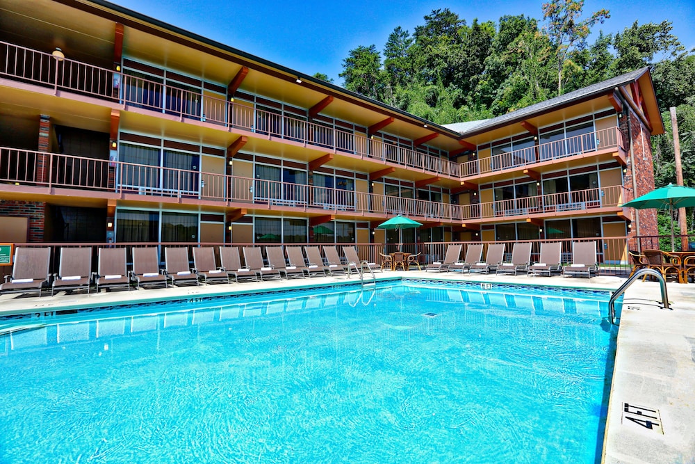 Wild Bear Inn - featured photo